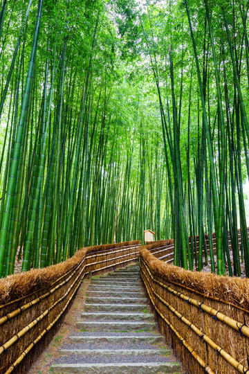 LG杯世界围棋棋王战决赛再次中断，中国代表团正在交涉