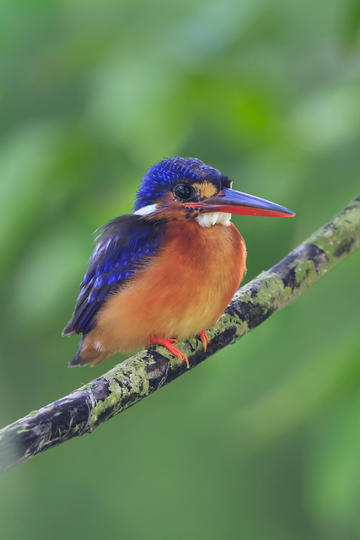 购买一台二手体检车需要关注哪些方面?