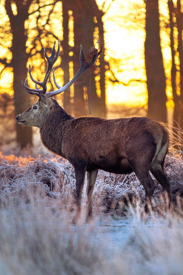 世界人口减少到 10 亿，甚至 2 亿，人类还会为了资源而争斗不休吗？