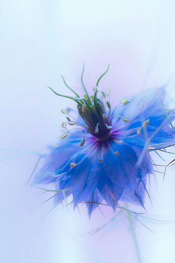 10年前，北京富豪500万迎娶“人妖皇后”​！不能生育，活不到40岁...​...现在怎么样了？