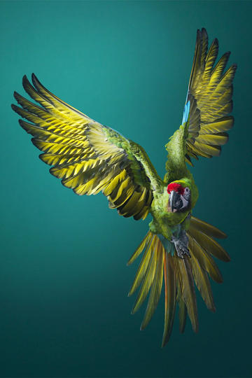 网约车司机喊话刘强东开通京东出行