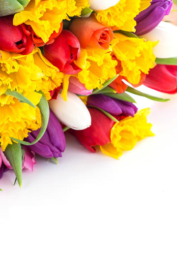 2025年春节，为什么一点年味都没有了？）